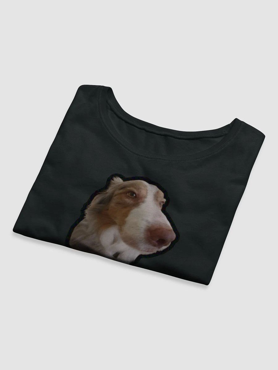 holesome Biggie crop top product image (24)