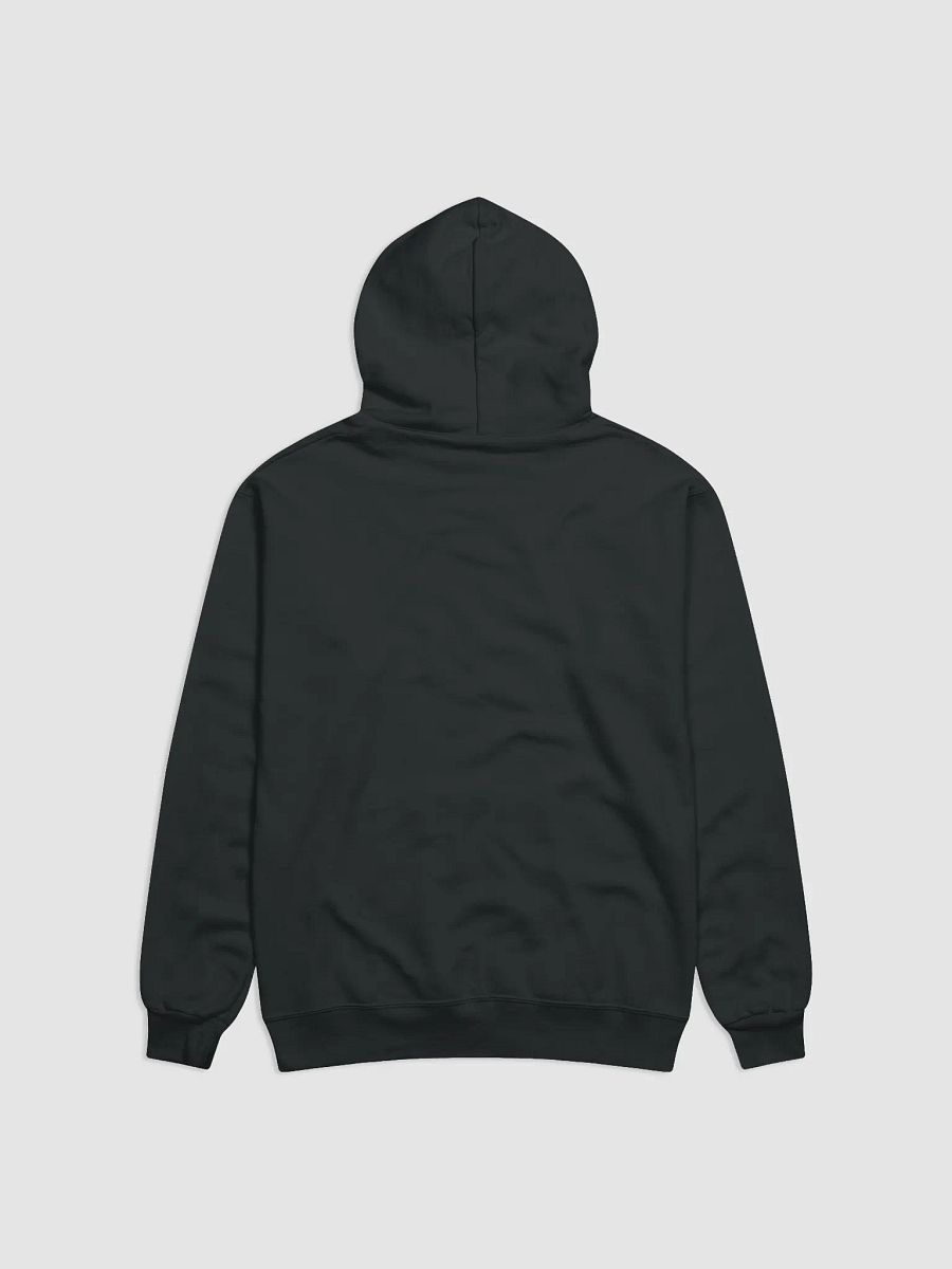 GBL Hoodie! product image (9)