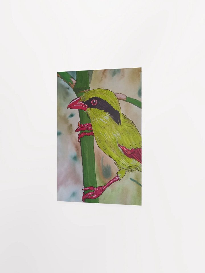 Corvid Series [02] Indochinese Green-Magpie poster print product image (2)