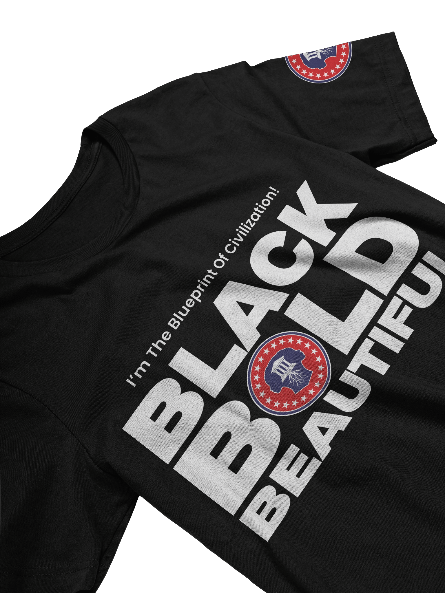 PA - Mother of Civilization T-Shirt product image (3)