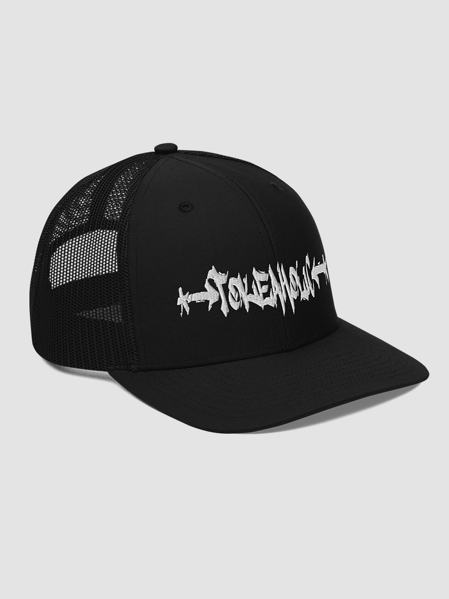 [tokeaholic] Richardson Snapback Trucker Cap Richardson 112 product image (3)