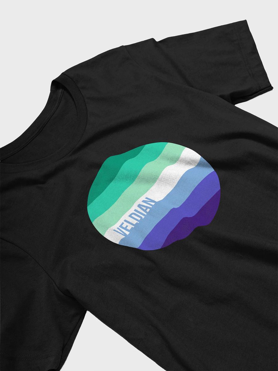 vekdian / mlm pride flag t-shirt product image (3)