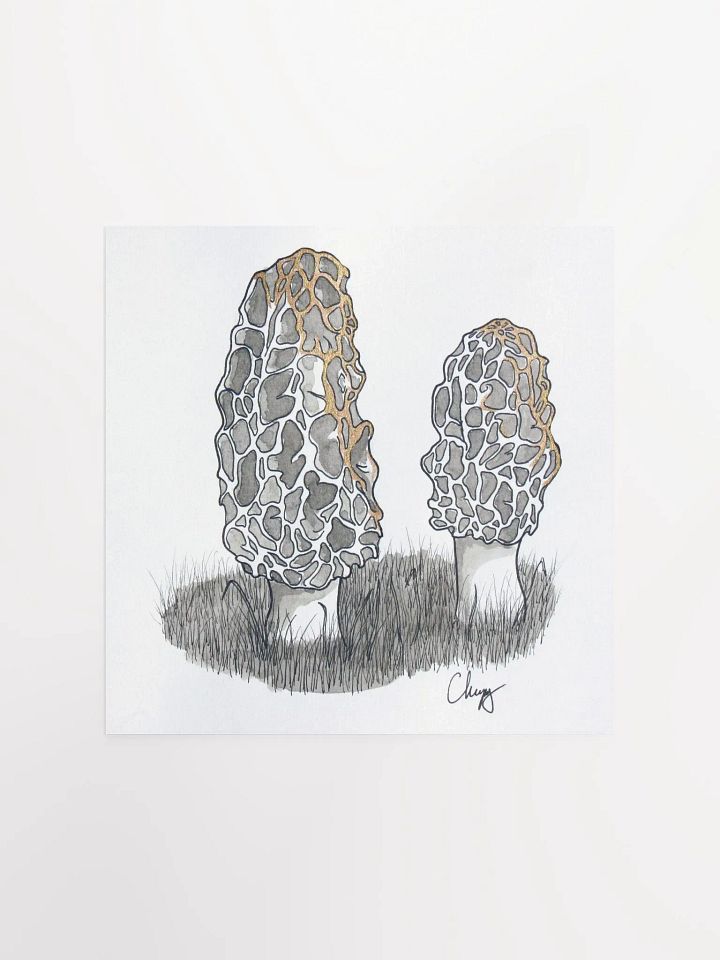 Morels Print product image (1)