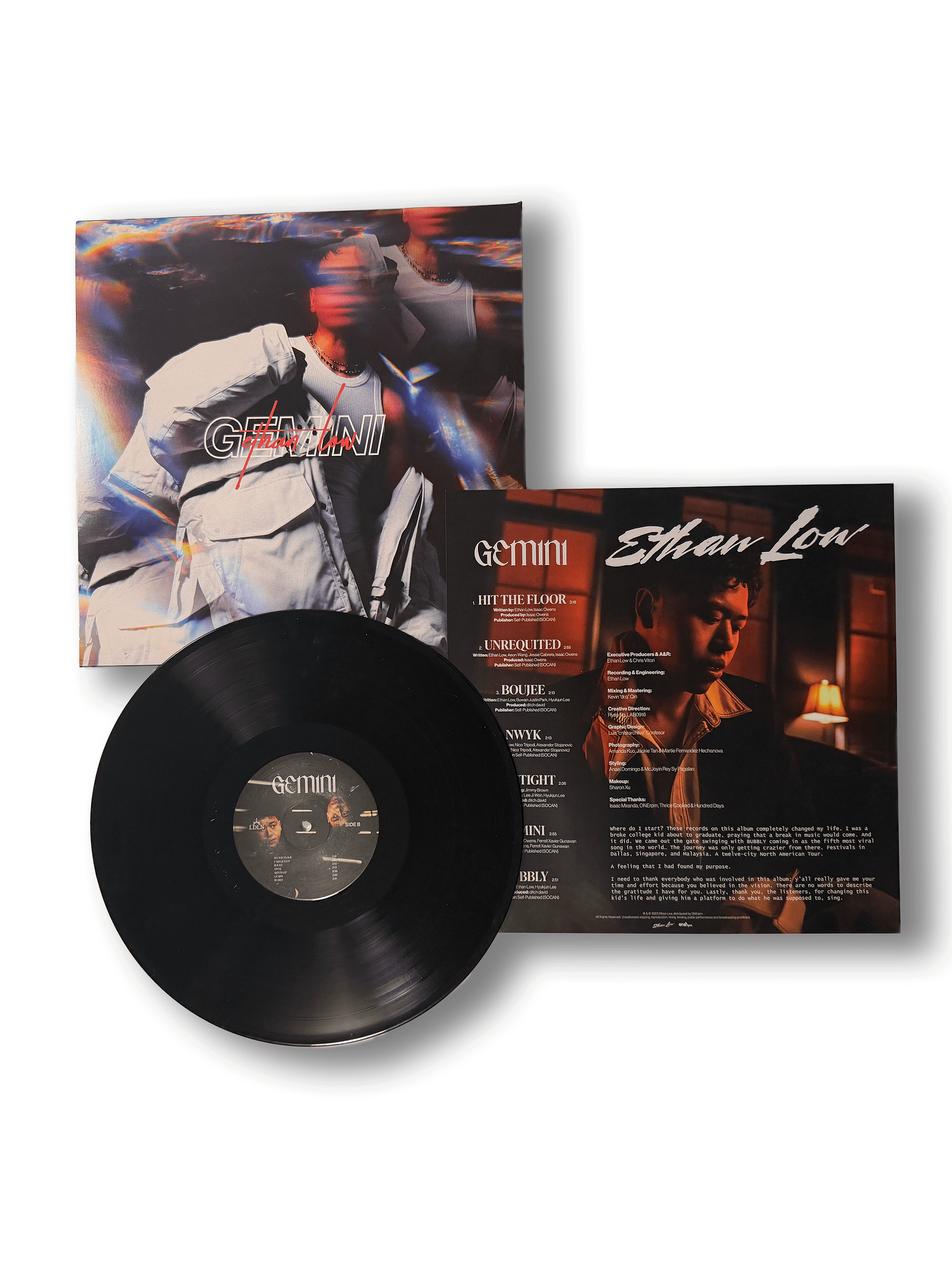 GEMINI / what's that supposed to mean? product image (3)