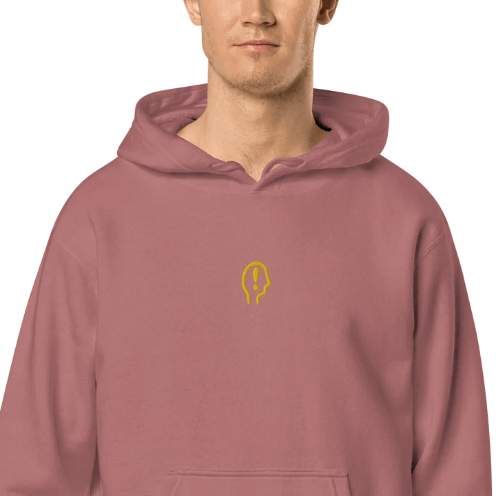 EXCLAIMING MENTALLY (C. gold) embroidered pigment hoodie product image (2)