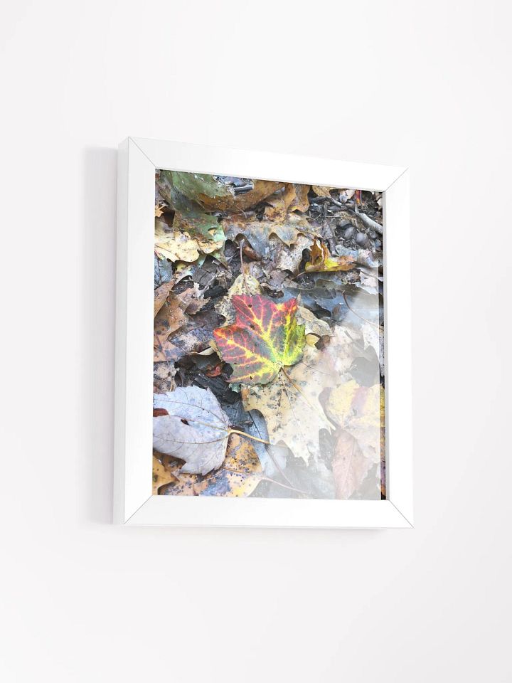 Natural Fall Leaf High Quality Matte Poster product image (2)