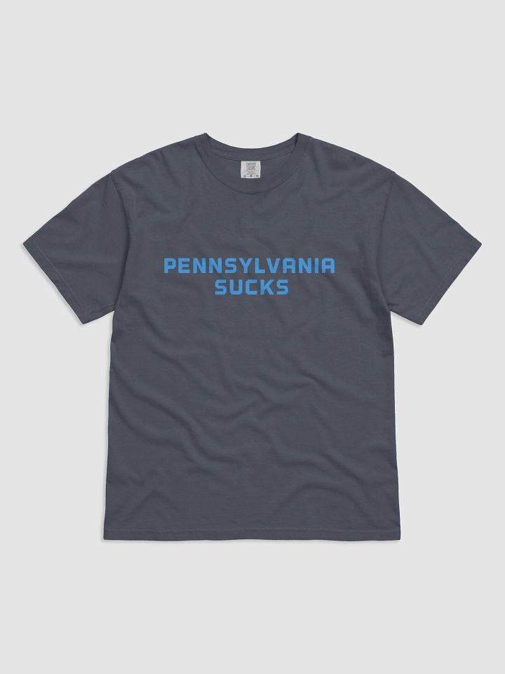 Pennsylvania Sucks tshirt product image (1)