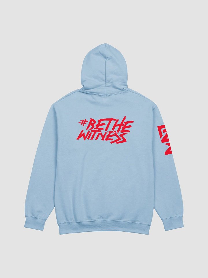 LNW Classic Hoodies product image (2)
