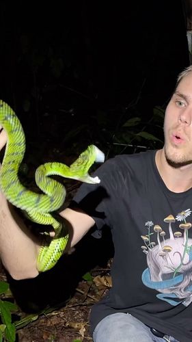 With no more herp trips planned, this year is officially coming to an end. It’s possibly been the best year of my life, full ...