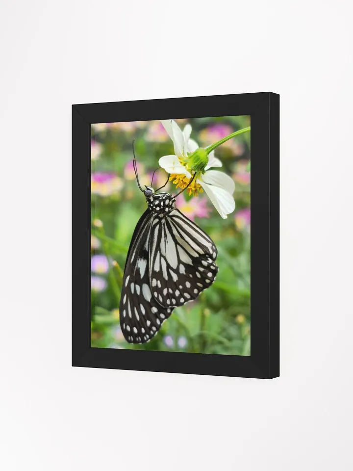Tropical Paper Kite Butterfly Framed Matte Poster #2 product image (1)
