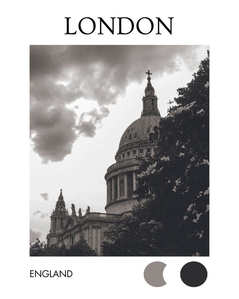 Flowers of St. Paul - Black & White City Digital product image (1)