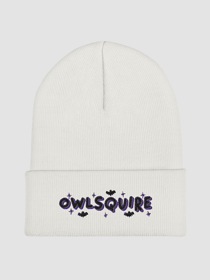 BATS Beanie (2022) product image (2)