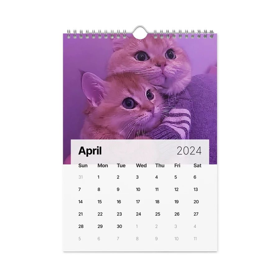 Wall Calendar (2024): Meme Cats product image (2)