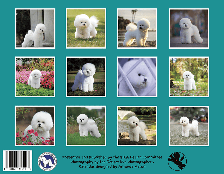 2025 Bichons for Health Calendar product image (2)