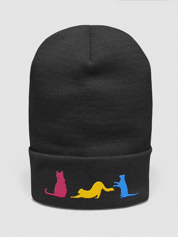Pansexual Pride Cats Beanie product image (5)