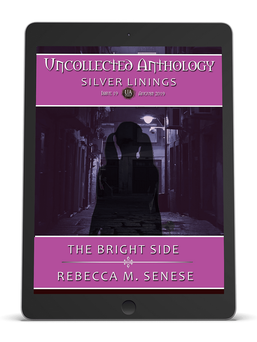 The Bright Side product image (1)