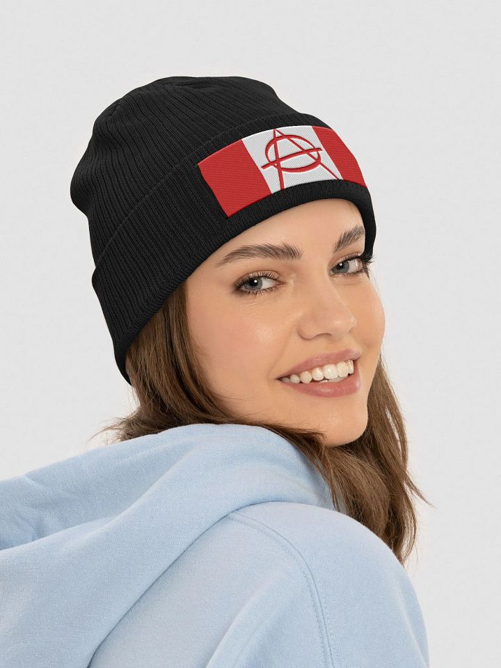 Authority product image (2)