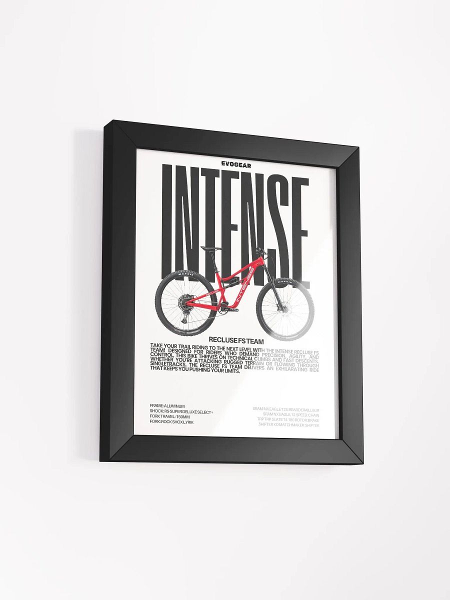 Intense Recluse FS Team Frame product image (9)