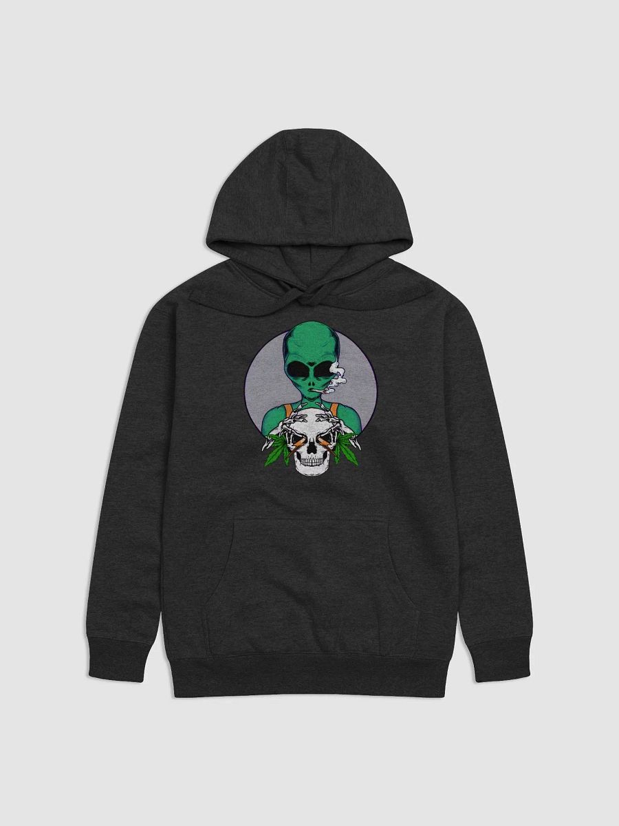 alian skull hoodie product image (6)