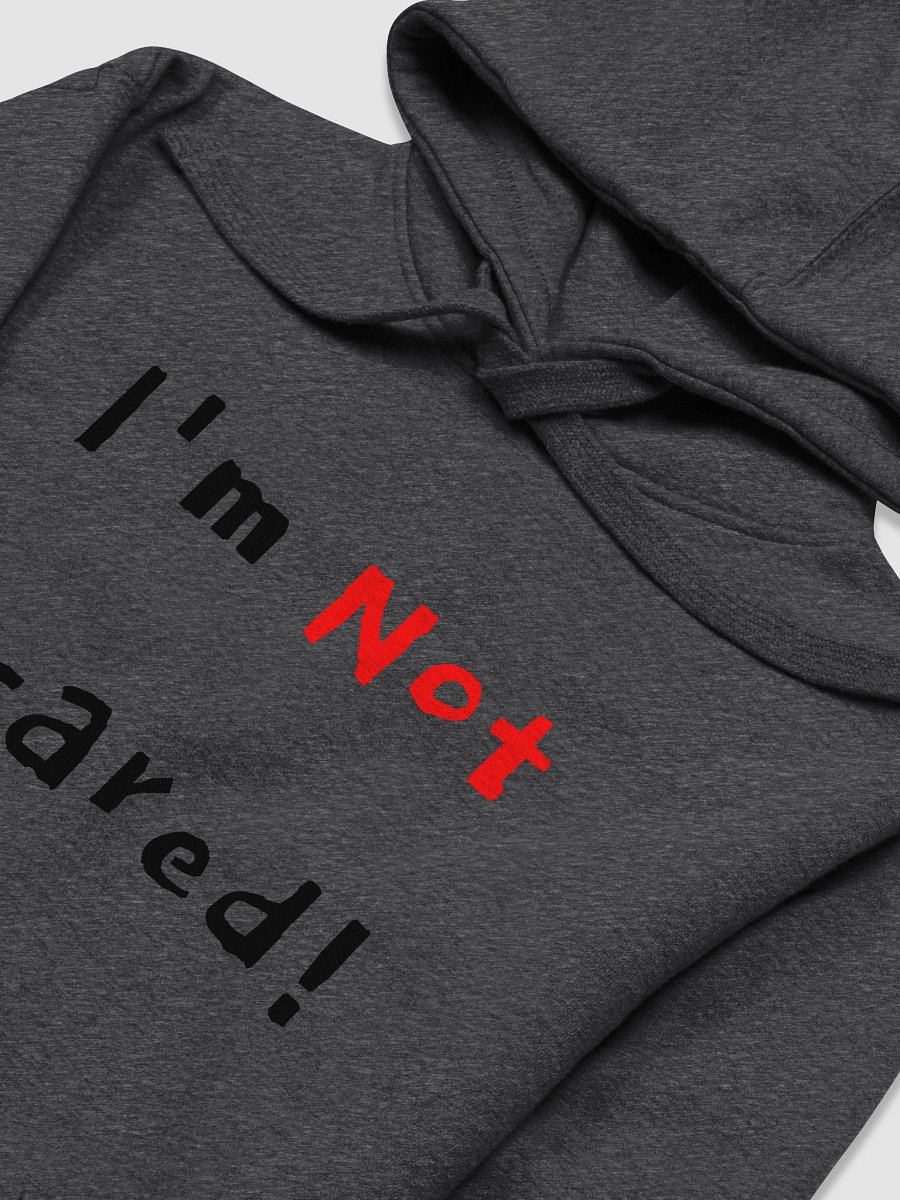 I'm Not Scared Premium Hoodie product image (17)
