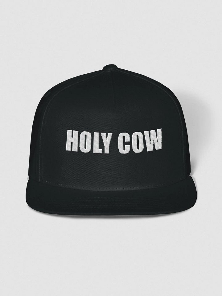 Holycow new cap product image (1)