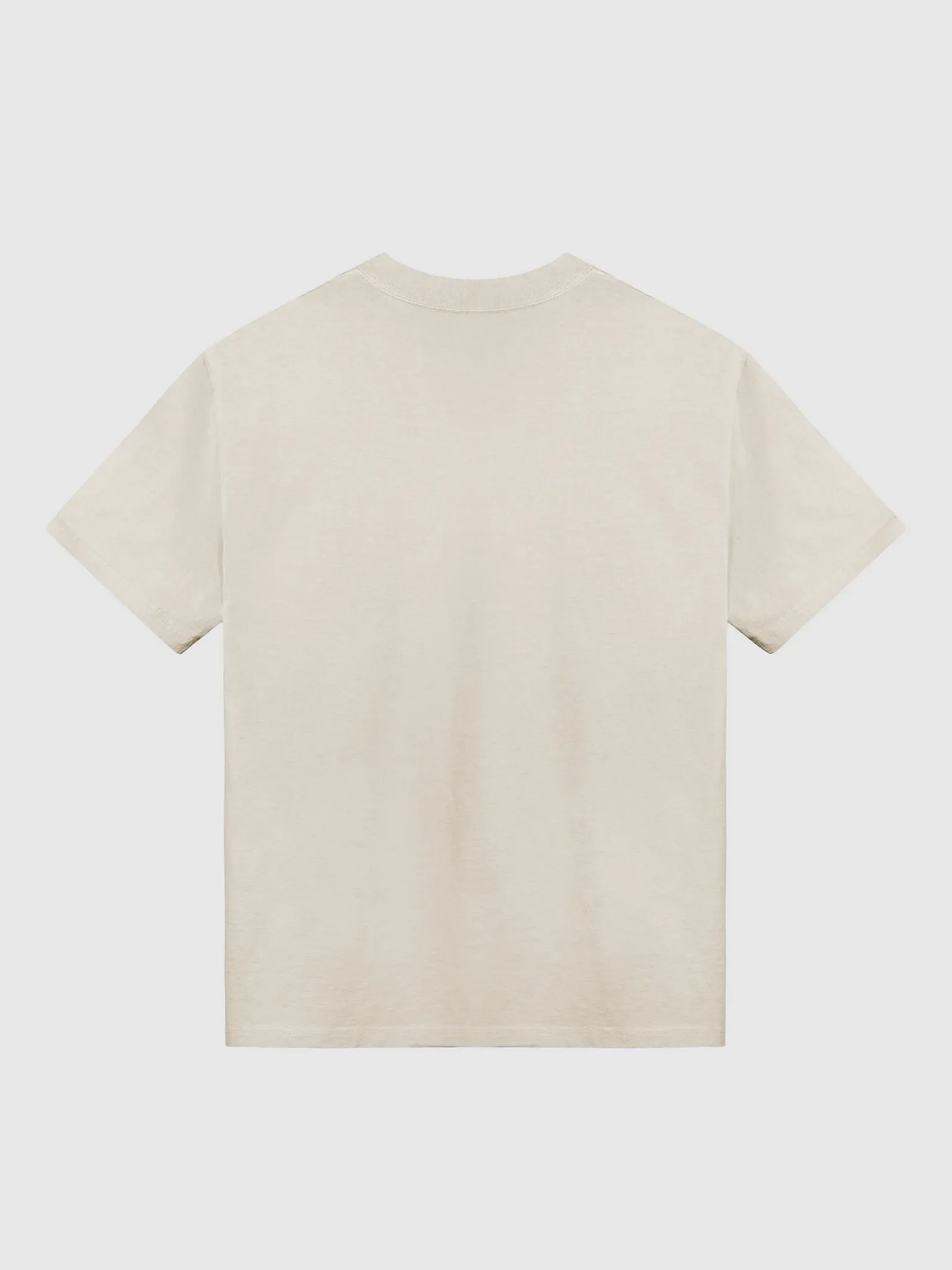 Standard T-Shirt product image (2)