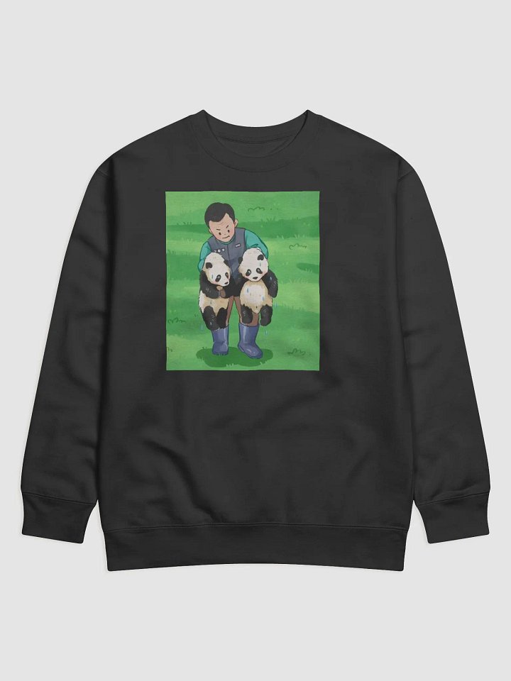 huibao and ruibao Panda product image (1)