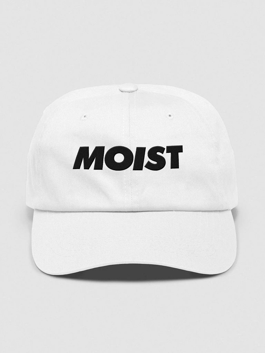MOIST Hat product image (1)