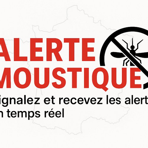 🚨🦟 NOUVEAU : Alerte Moustique est en ligne !
Suivez en temps réel la présence de moustiques dans votre ville 🗺️

📍 Recherchez...