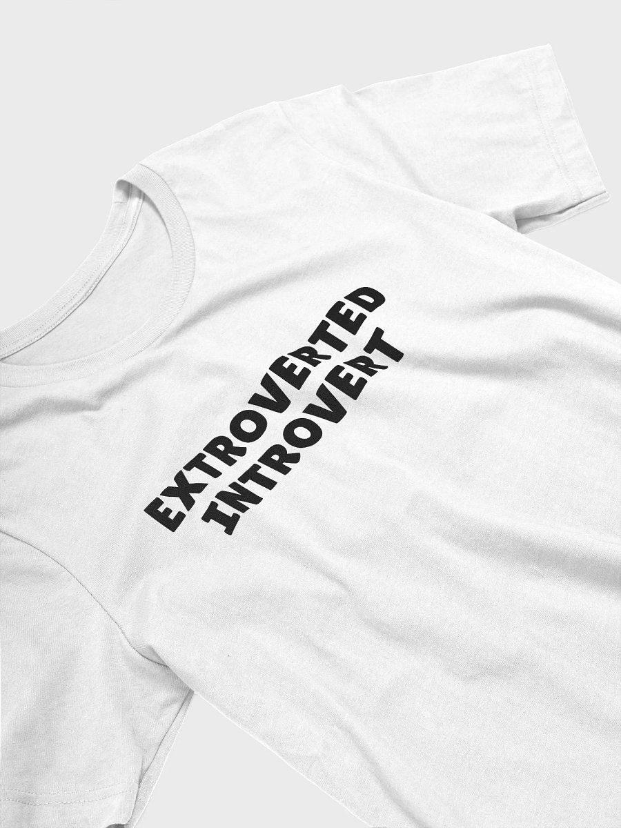 Extroverted Introvert product image (44)