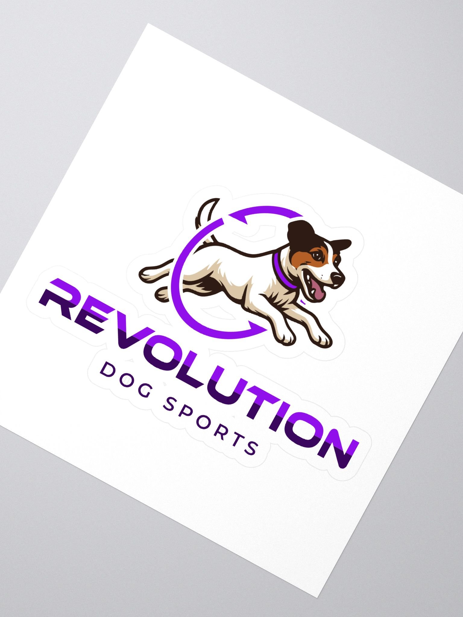 RDS Logo Sticker product image (2)