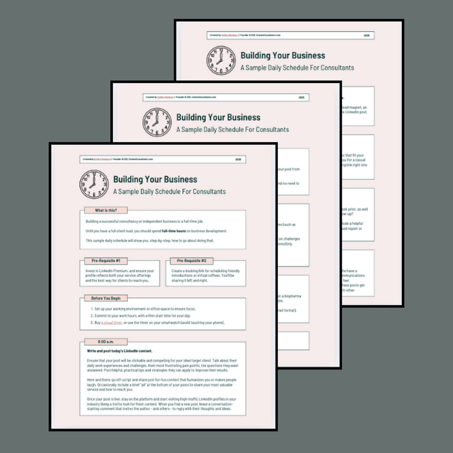 Daily Schedule to Build Your Consulting Business product image (1)