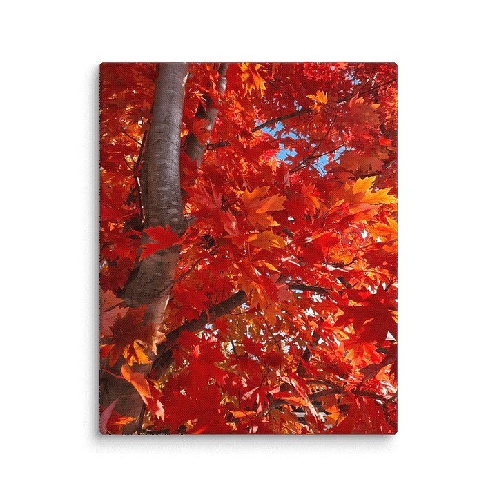 Fall Tree Canvas Collection product image (1)