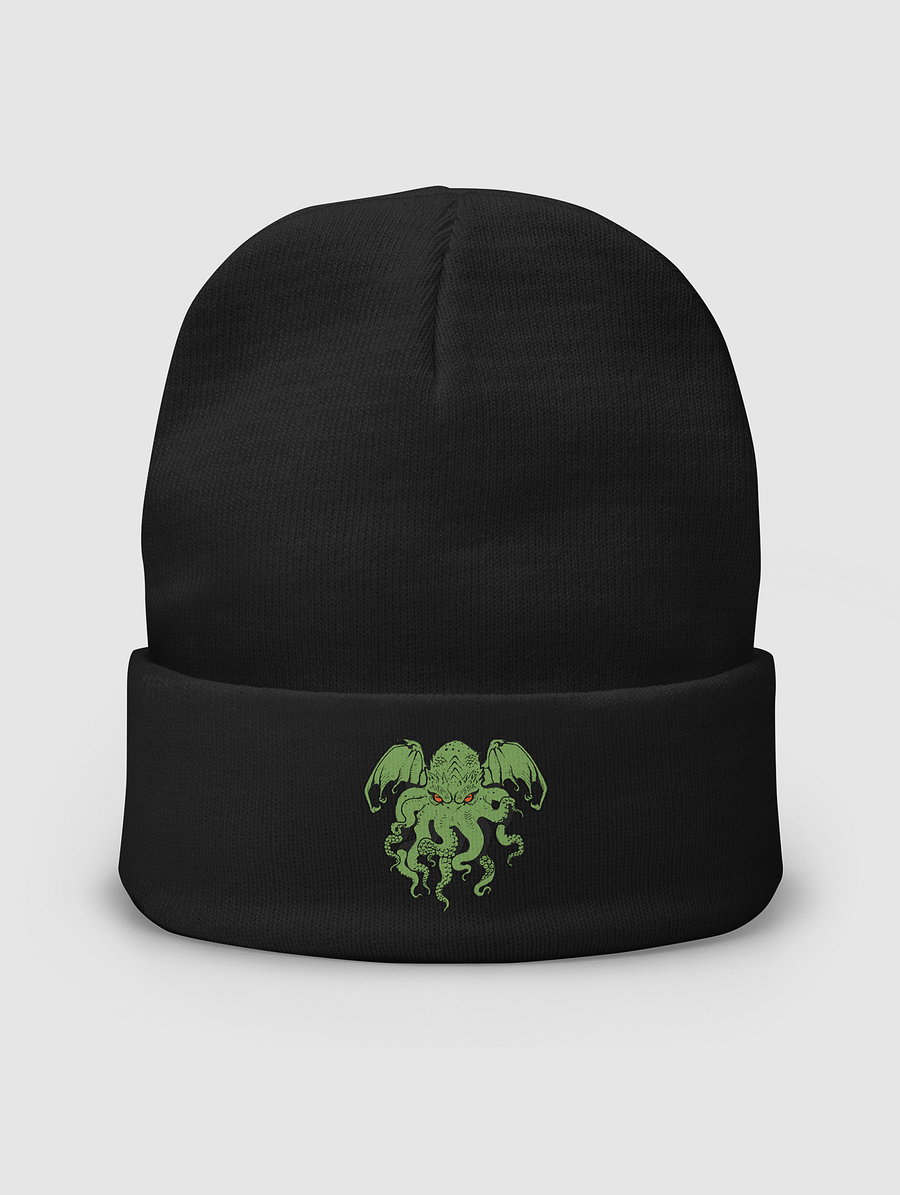[DEN SUPPLIES] Embroidered Beanie 3 product image (1)