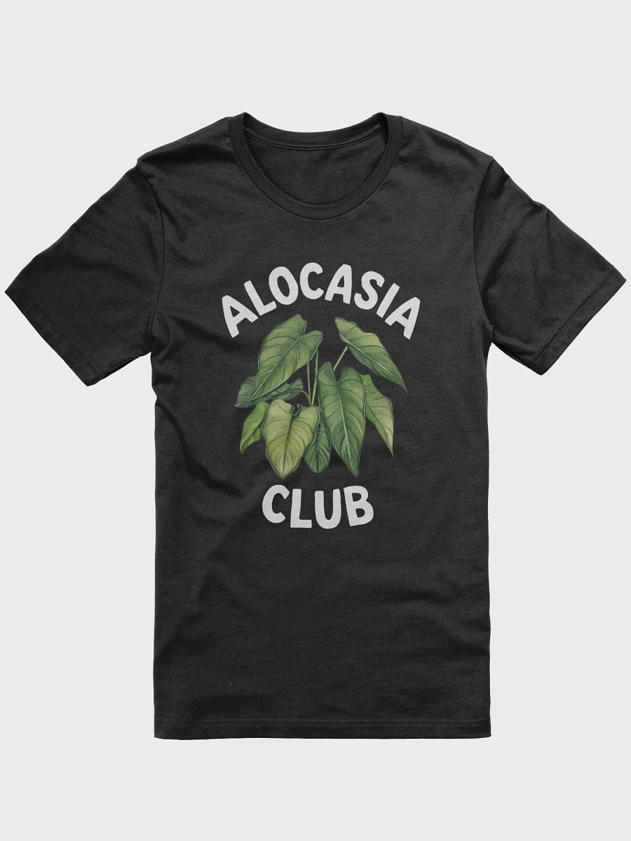 Alocasia Club product image (1)