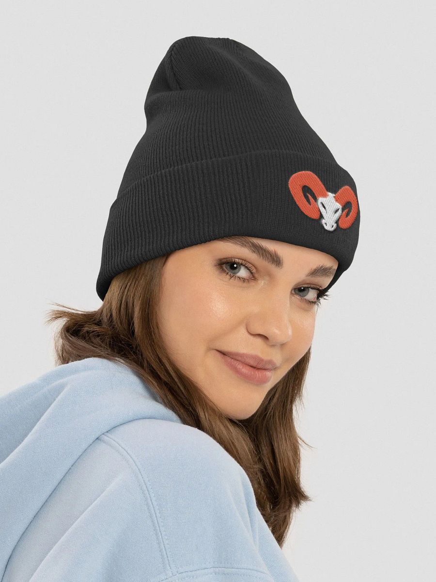 Ramzy Beanie! product image (4)