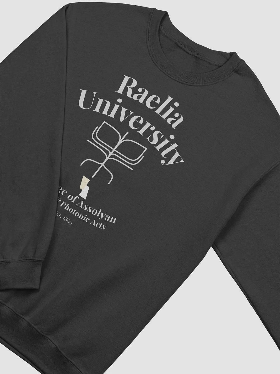 RUCA Crewneck product image (3)