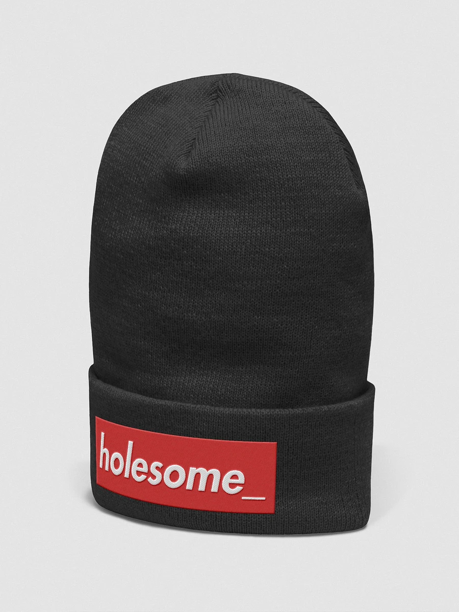 holesome_ fashion beanie product image (13)
