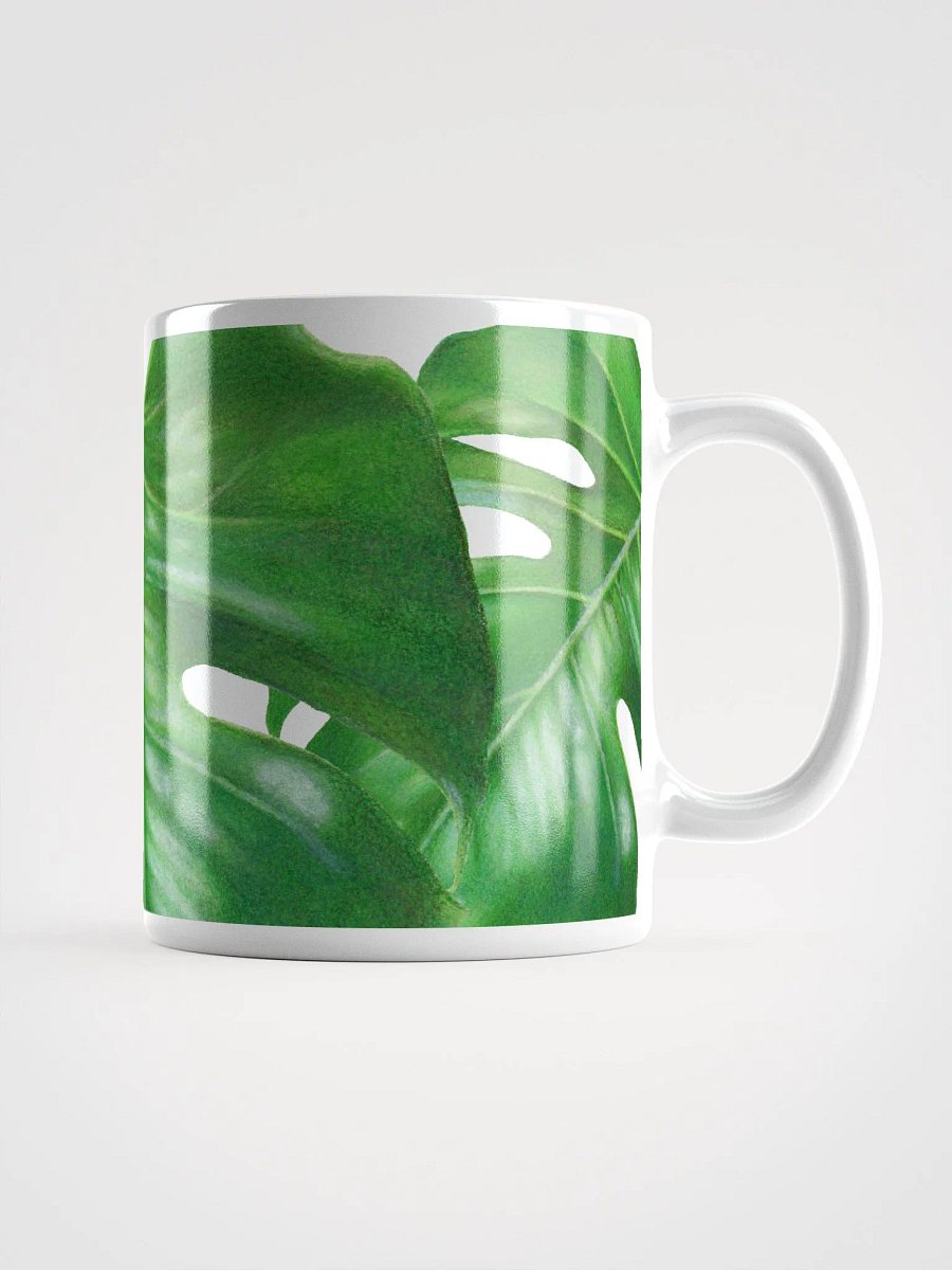Monstera Leaves product image (1)