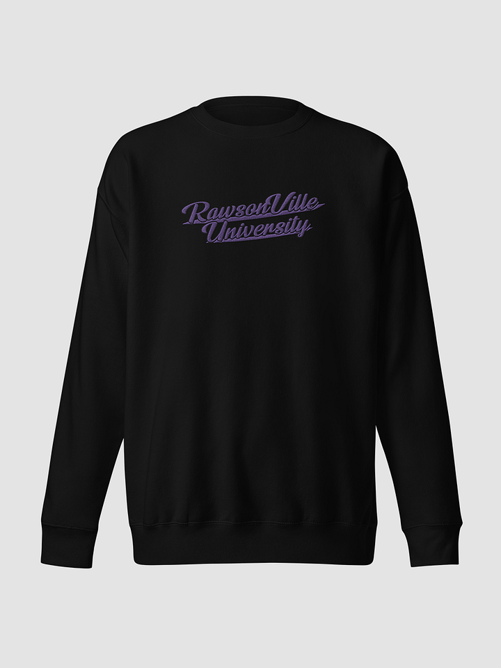 RVU: Embroidered Sweatshirt product image (2)