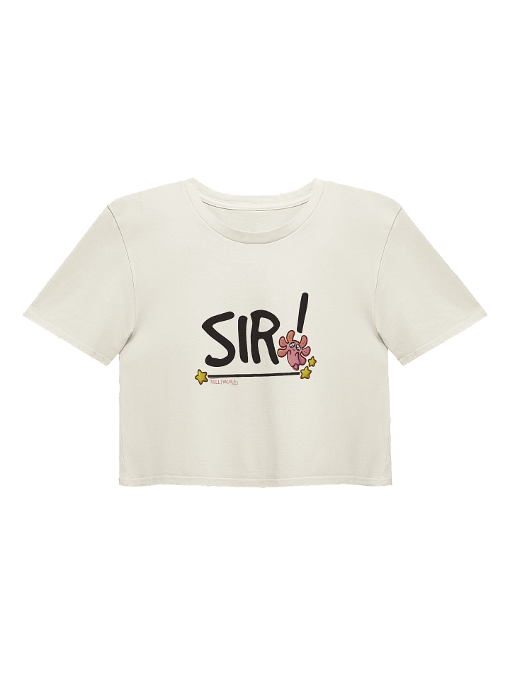 SIR! Crop Top product image (49)