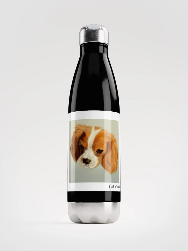 Stainless Steel Cult of Puddles Waterbottle product image (1)