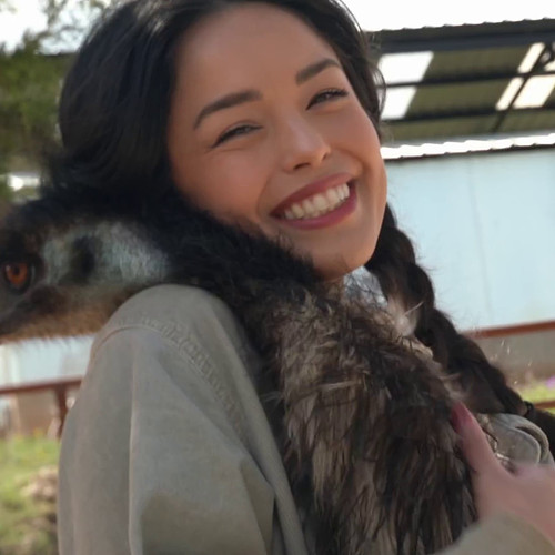 Valkyrae gives the best Emu hugs

@valkyrae 
#alveussanctuary #animals #nature #animal #love #cute #photography #wildlifeprot...