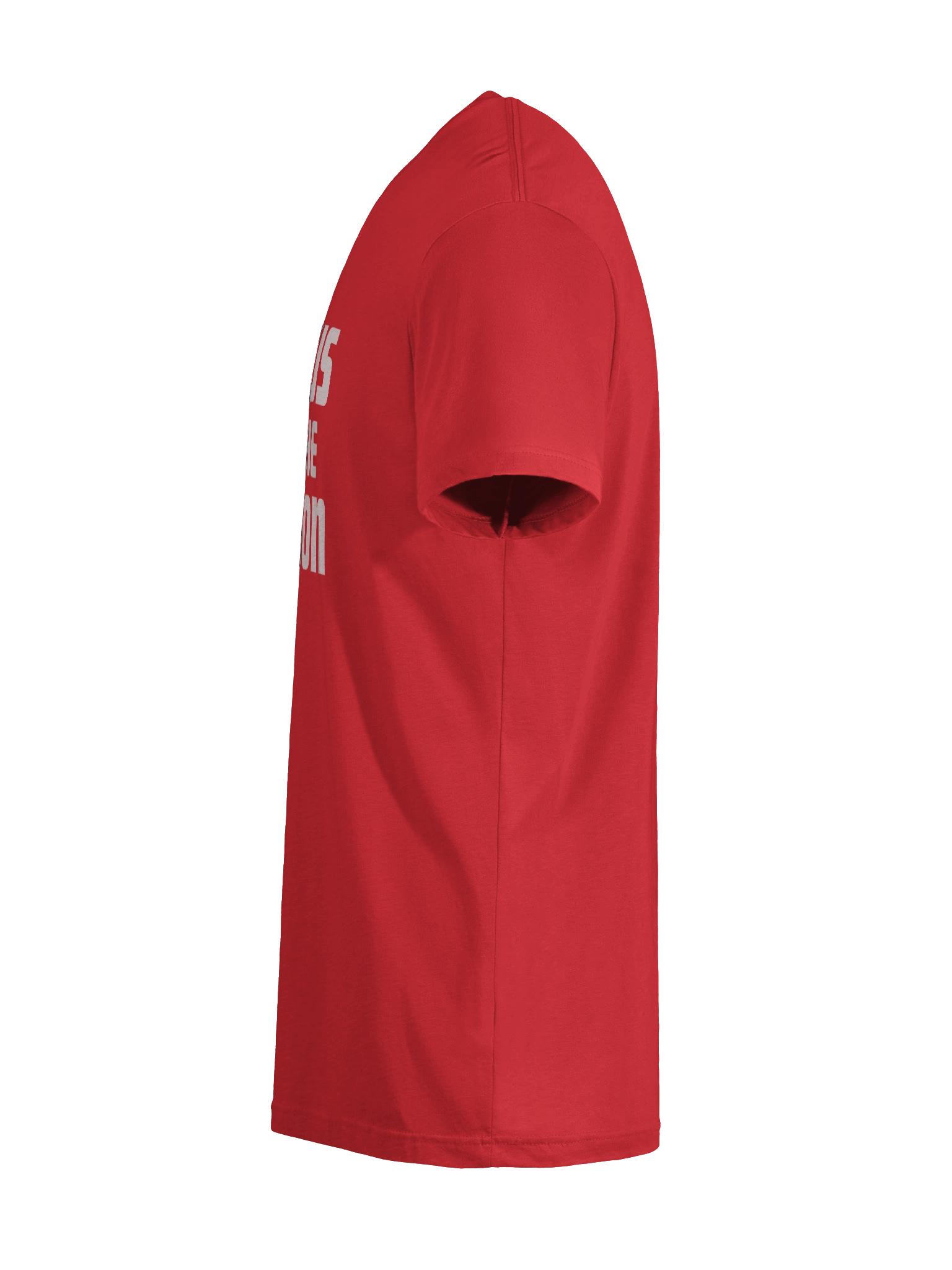 Jesus Is The Reason T-Shirt product image (12)