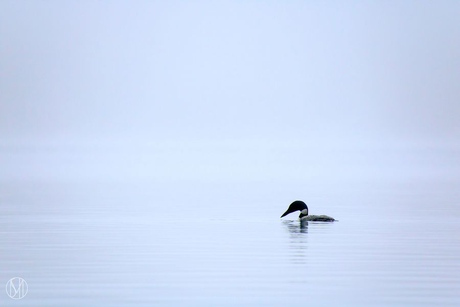 Sound of Silence Print product image (1)