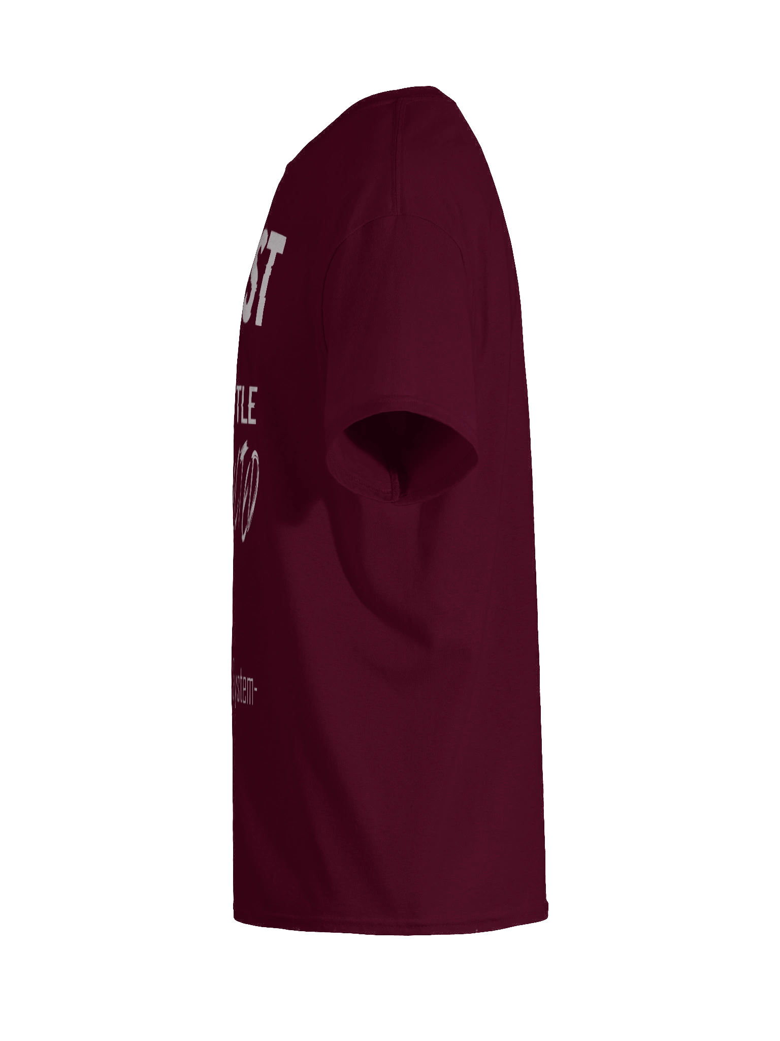 Disconnected Lyrics Maroon Tee product image (11)