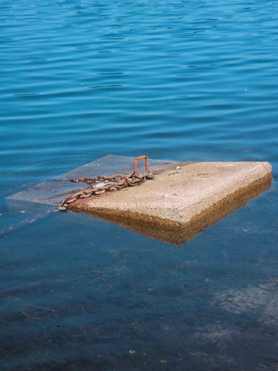 swimming product image (1)