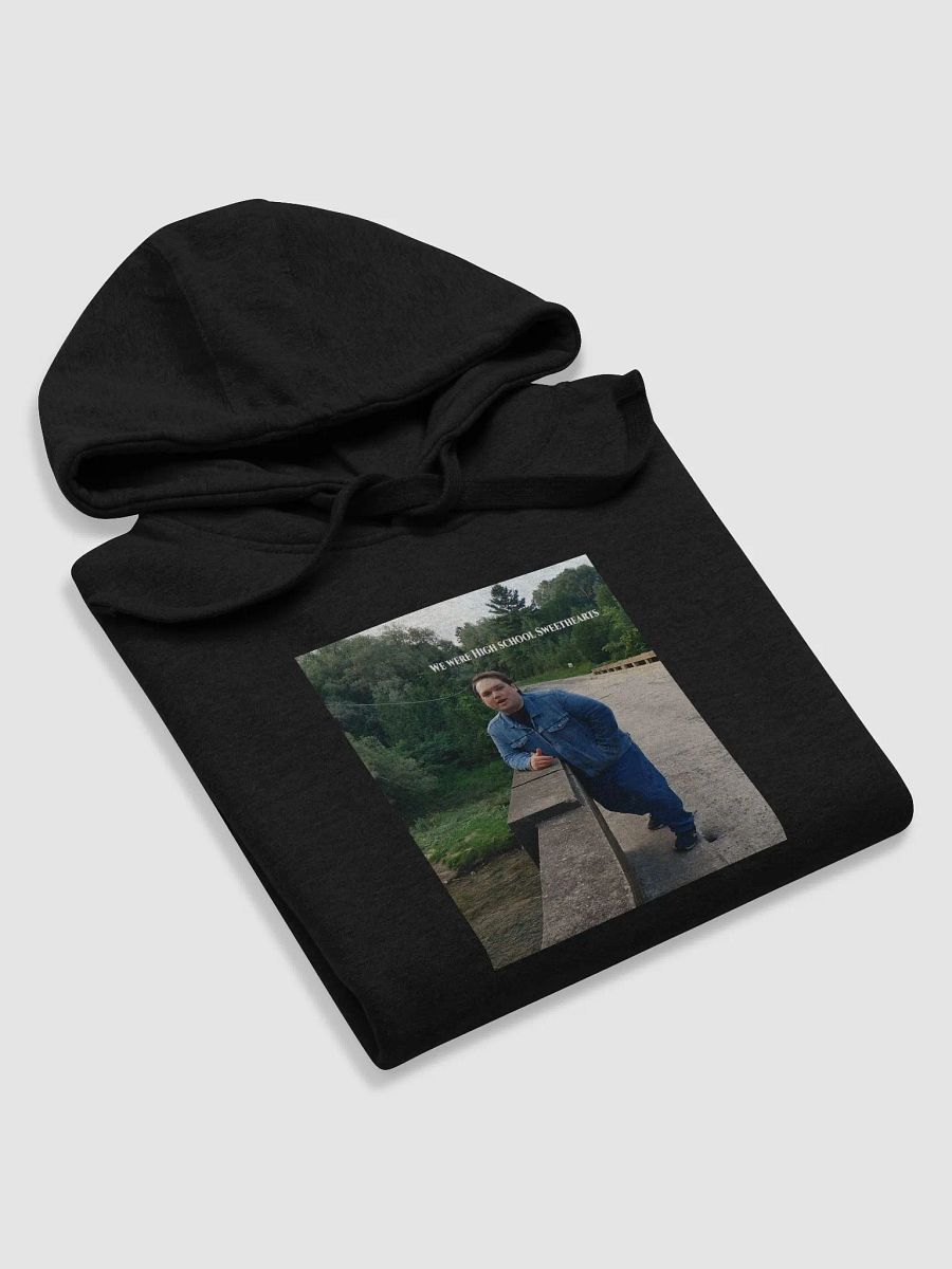 We Were High School Sweethearts Bridge Lean Hoodie product image (65)