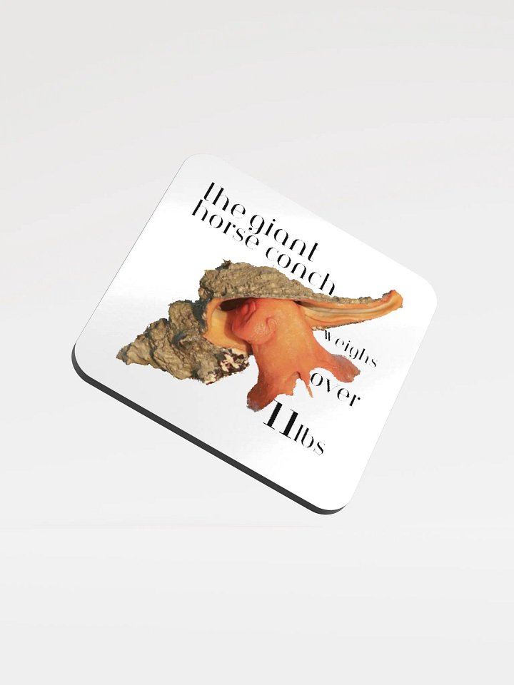 Conch Coaster product image (1)