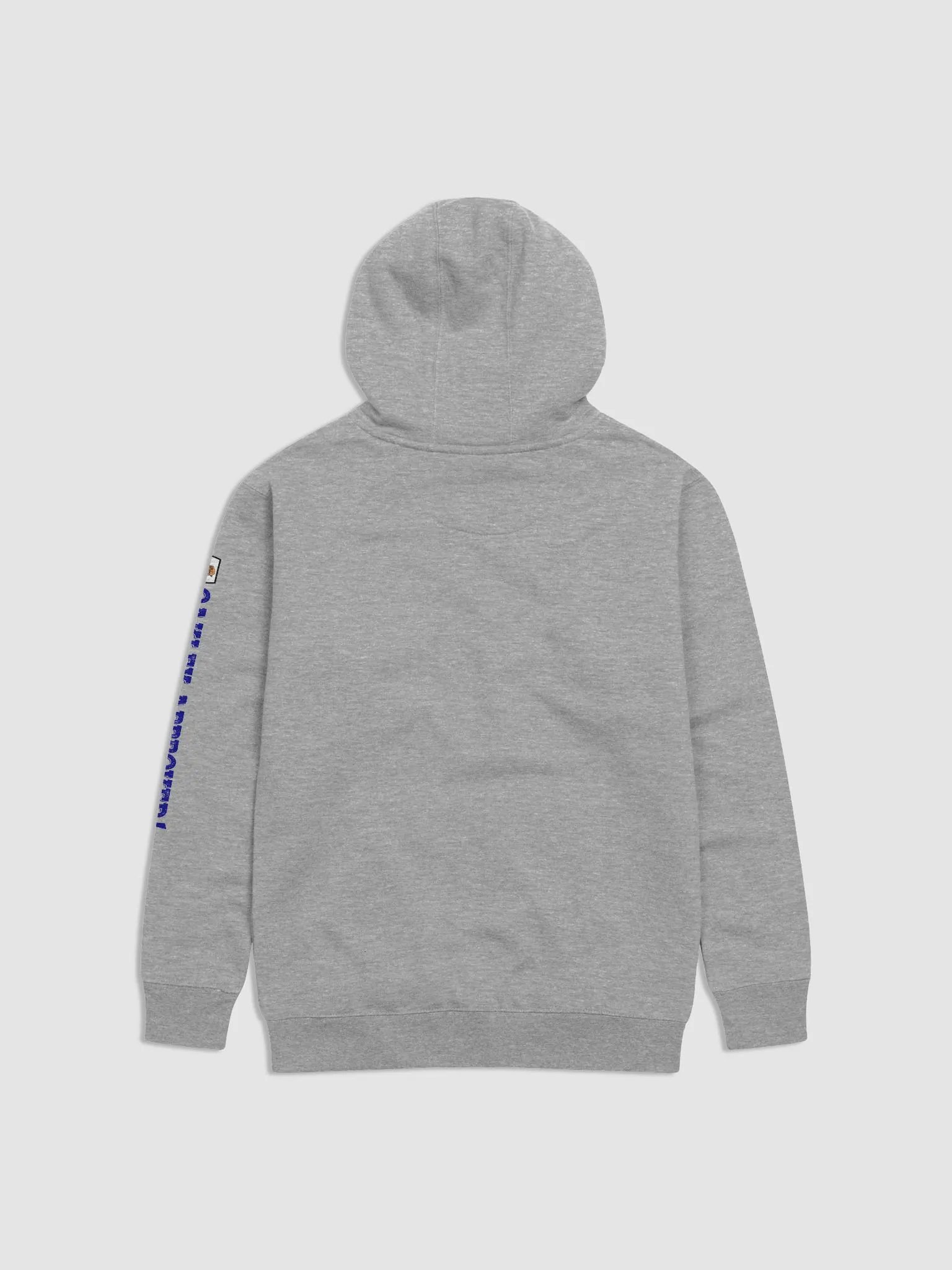 Affordable Hoodie- Logo Front & Sleeve product image (2)